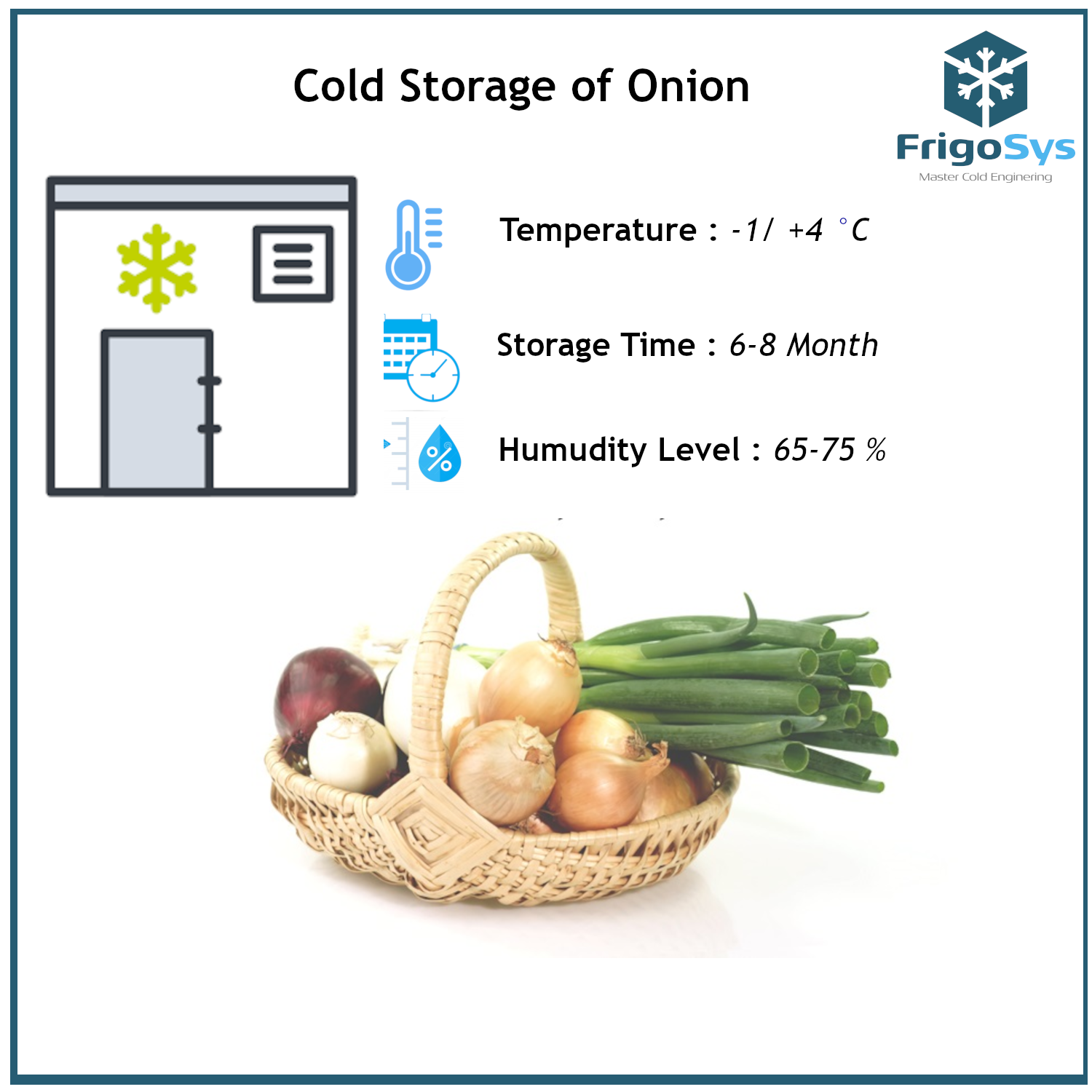 Cold Storage of Onion  Industrial Cold Room & Equipments